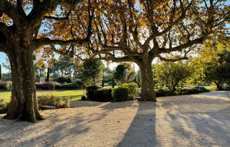 Coucher de soleil dans le jardin du gîte de l'Aulière