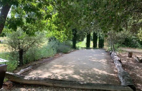 Terrain de pétanque des gîtes et chambres d'hôtes de l'Aulière