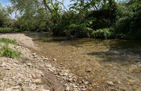 Rivière de l'Aulière