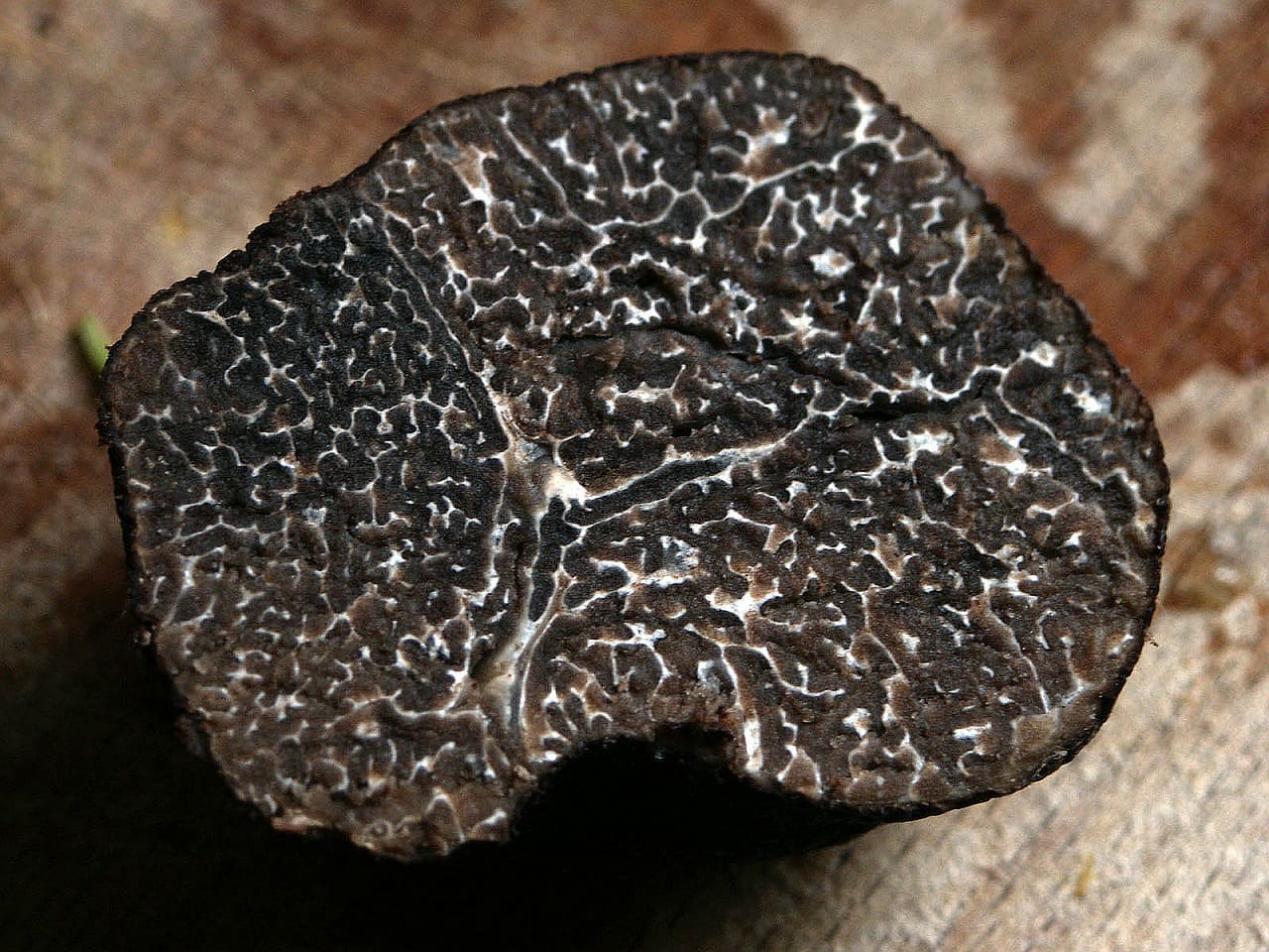 Truffe de Richerenches coupée